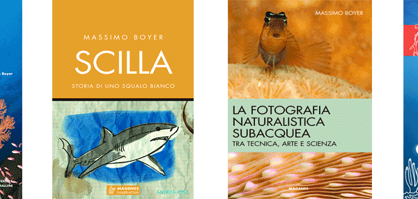 libri di massimo boyer